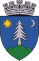 Gheorgheni County Council