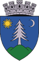 Primăria Municipiului Gheorgheni